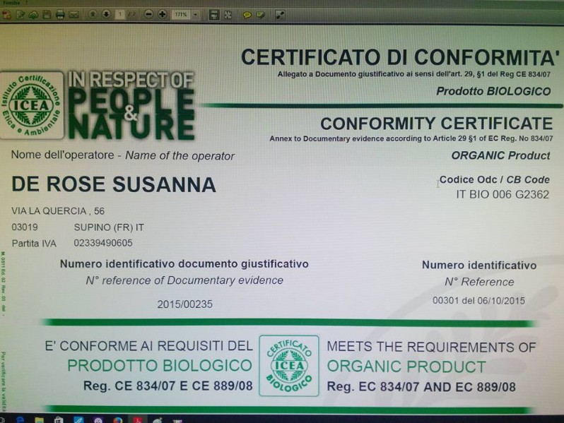 certificato di conformita icea